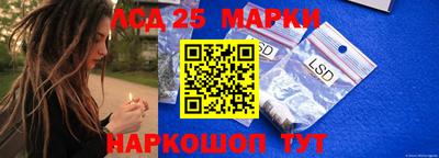 индика Можайск