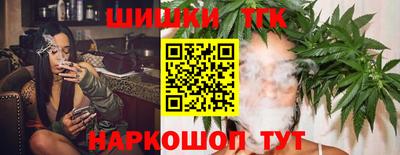 индика Можайск