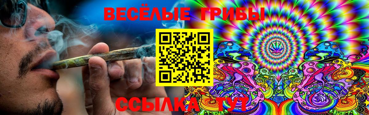 Псилоцибиновые грибы Psilocybe Шебекино